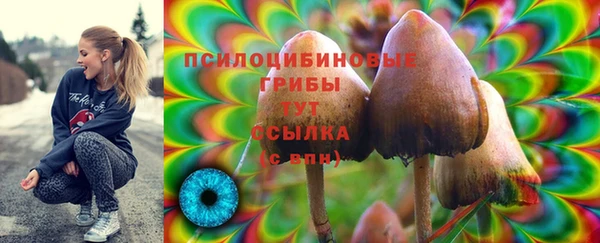 соль курить ск Осташков