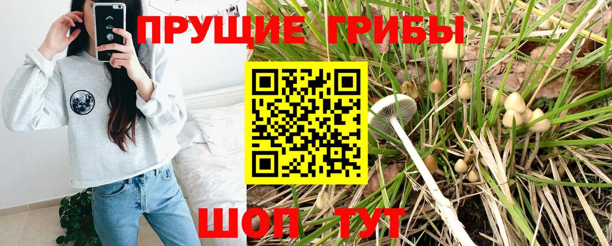 Псилоцибиновые грибы Psilocybe  купить наркоту  Череповец 