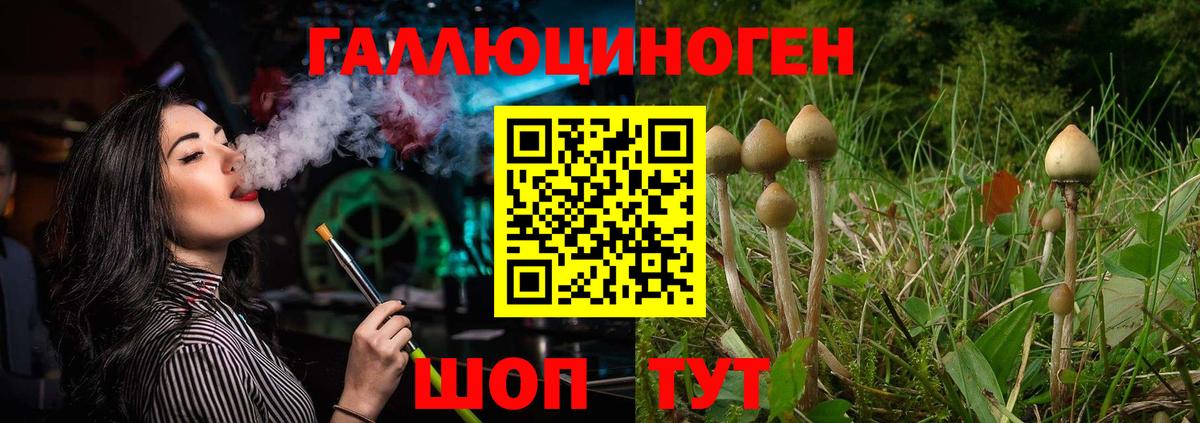 Псилоцибиновые грибы Psilocybe Череповец