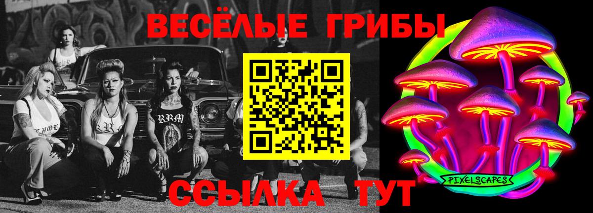 Галлюциногенные грибы Psilocybine cubensis  Вход с VPN  Череповец 